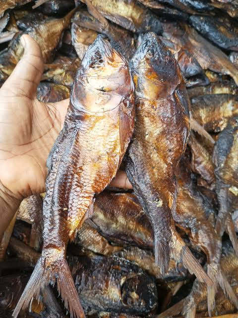 1carton of jumbo size bonga fish 200pcs
