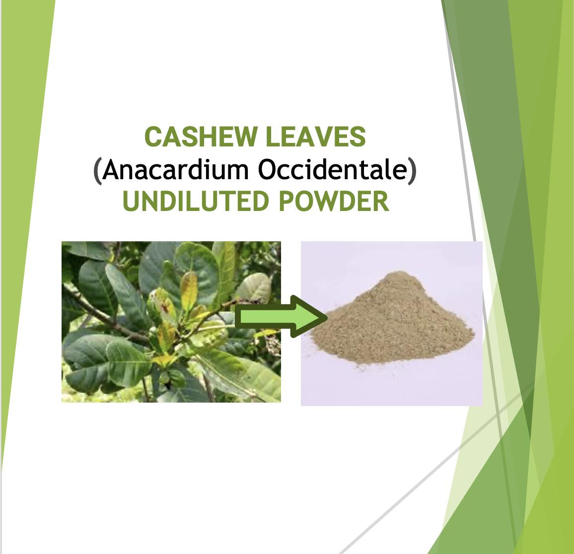 1kg of whole cashew leaf powder