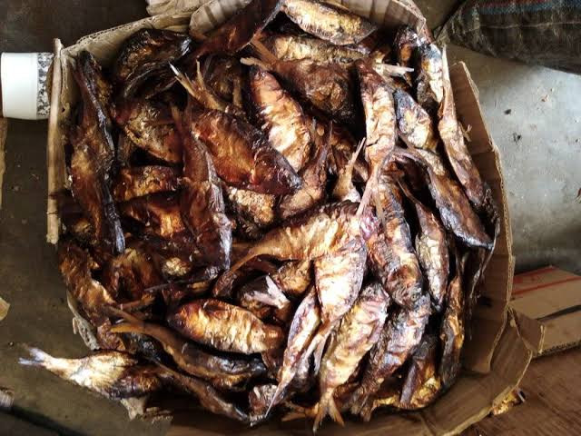 1carton of 200pcs of medium sizes of bonga fish