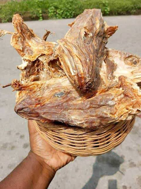 1 big size of apama stock fish head 70gg