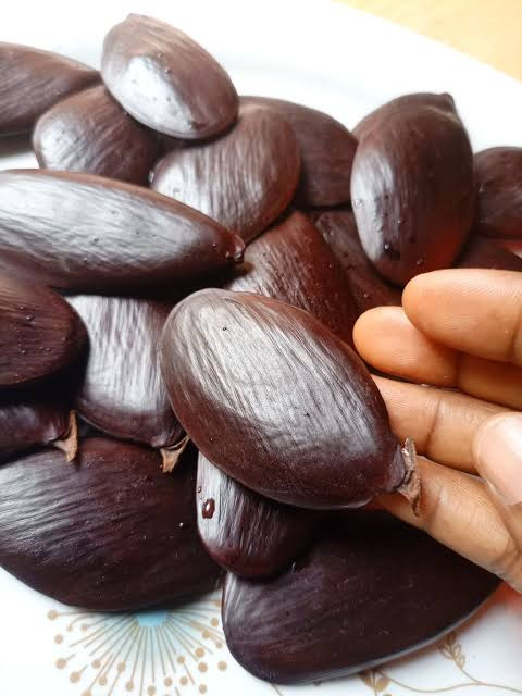 10kg of African oil bean seeds $5. 10kgs to 500kgs is $3.5. 500kgs to 1000kgs is $2.8. Chat the company on Whatsapp for bulk order