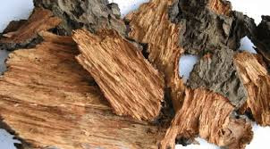 1kg of dried mango tree barks