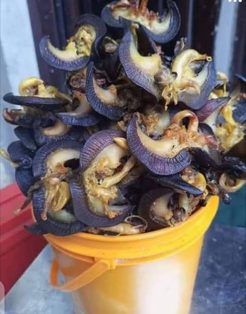 1.2Kg Big Sizes Of Dried Snails