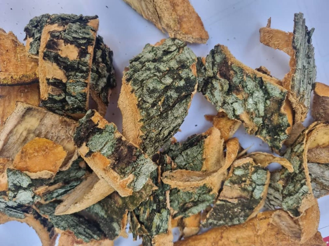 1kg of dried Nigerian alstonia boonei stem bark