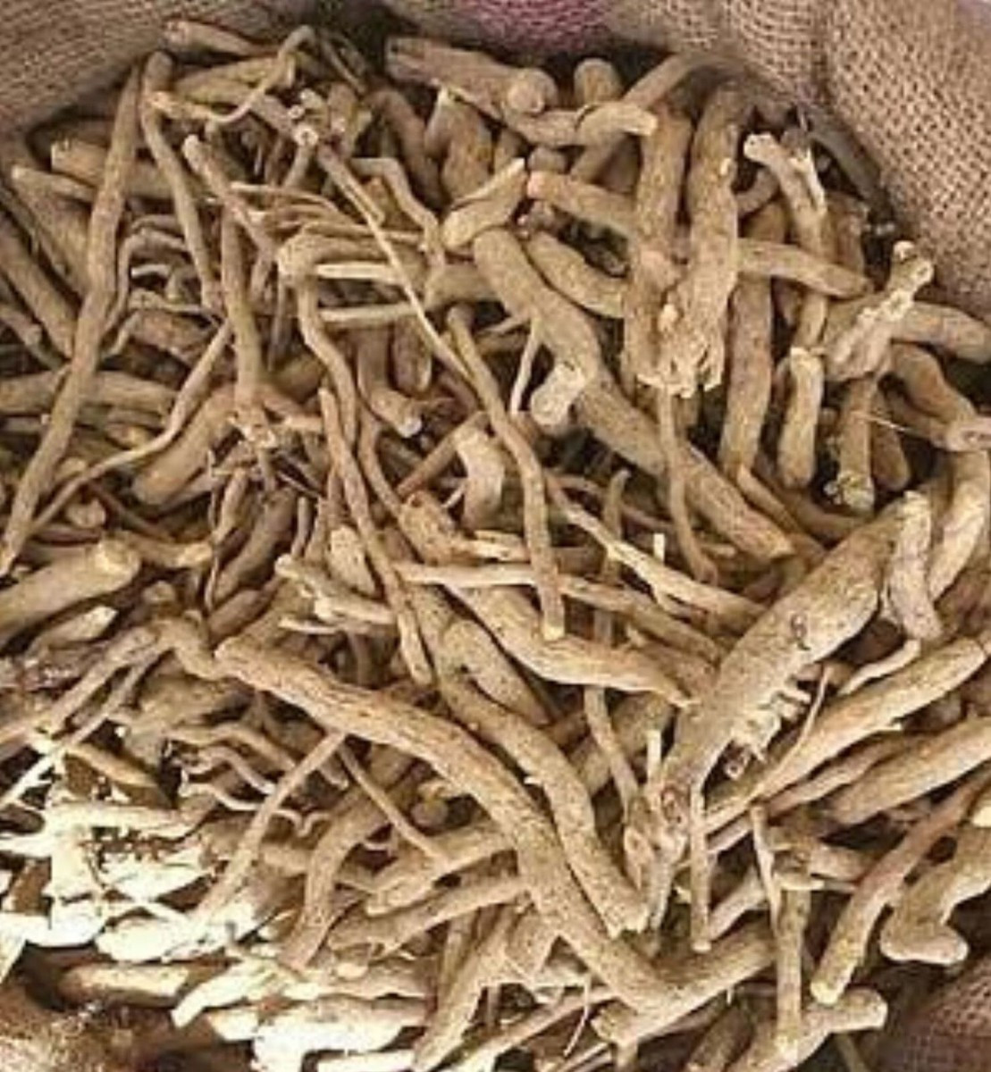 1kg of dried serpent wood roots