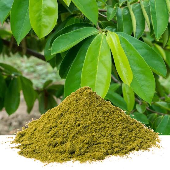 1kg of whole soursop leaves powder